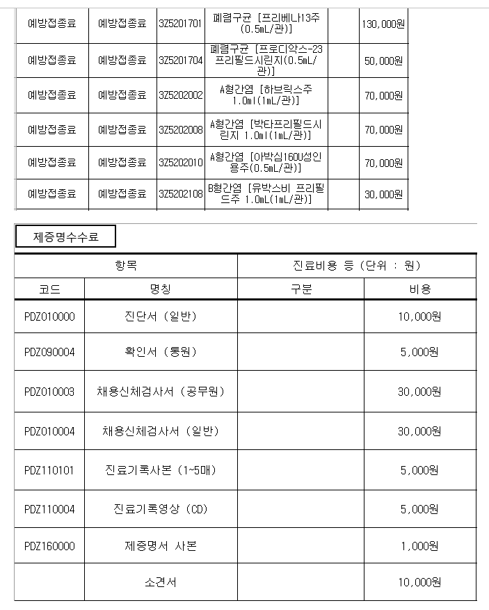 비급여 및 재증명 수수료 2